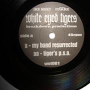 My Band Resurrected 7"